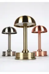 Şarjlı Dekoratif Ambiyans Premium Masa Lambası - Uzay Old Gold Kaplama(Kopya)